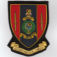 45 Commando Blazer Badge